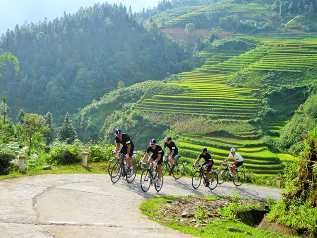 Explore the Best of Vietnam by Bike - Our 15-Day Overall Cycling Tour
