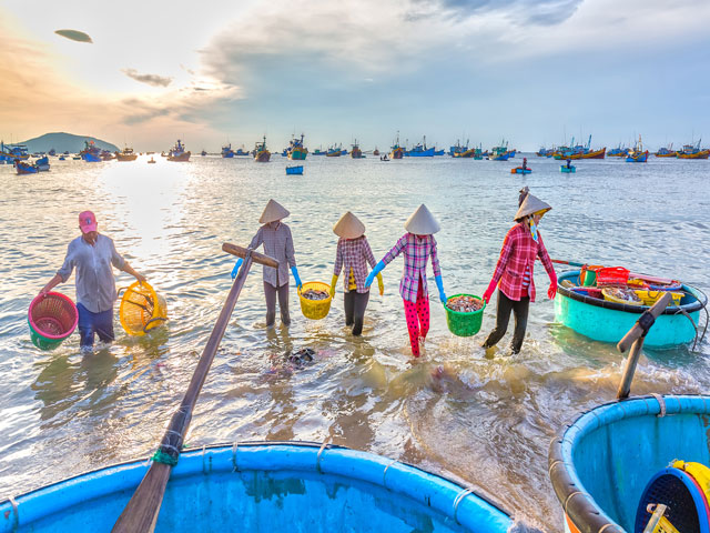 Vietnam – Along the coastal line 